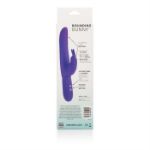 Picture of POSH 10 FUNCTION SILICONE BOUNDING BUNNY PURPLE