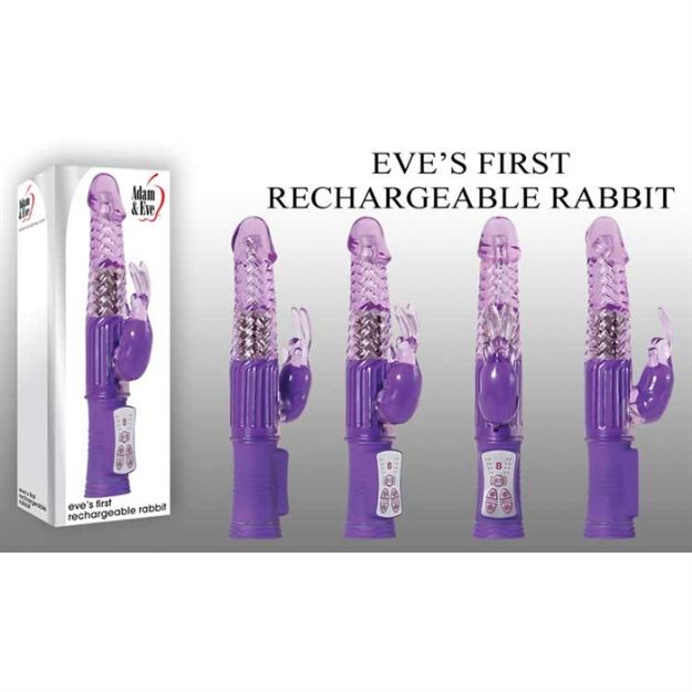Picture of EVE'S FIRST RECHARGEABLE RABBIT